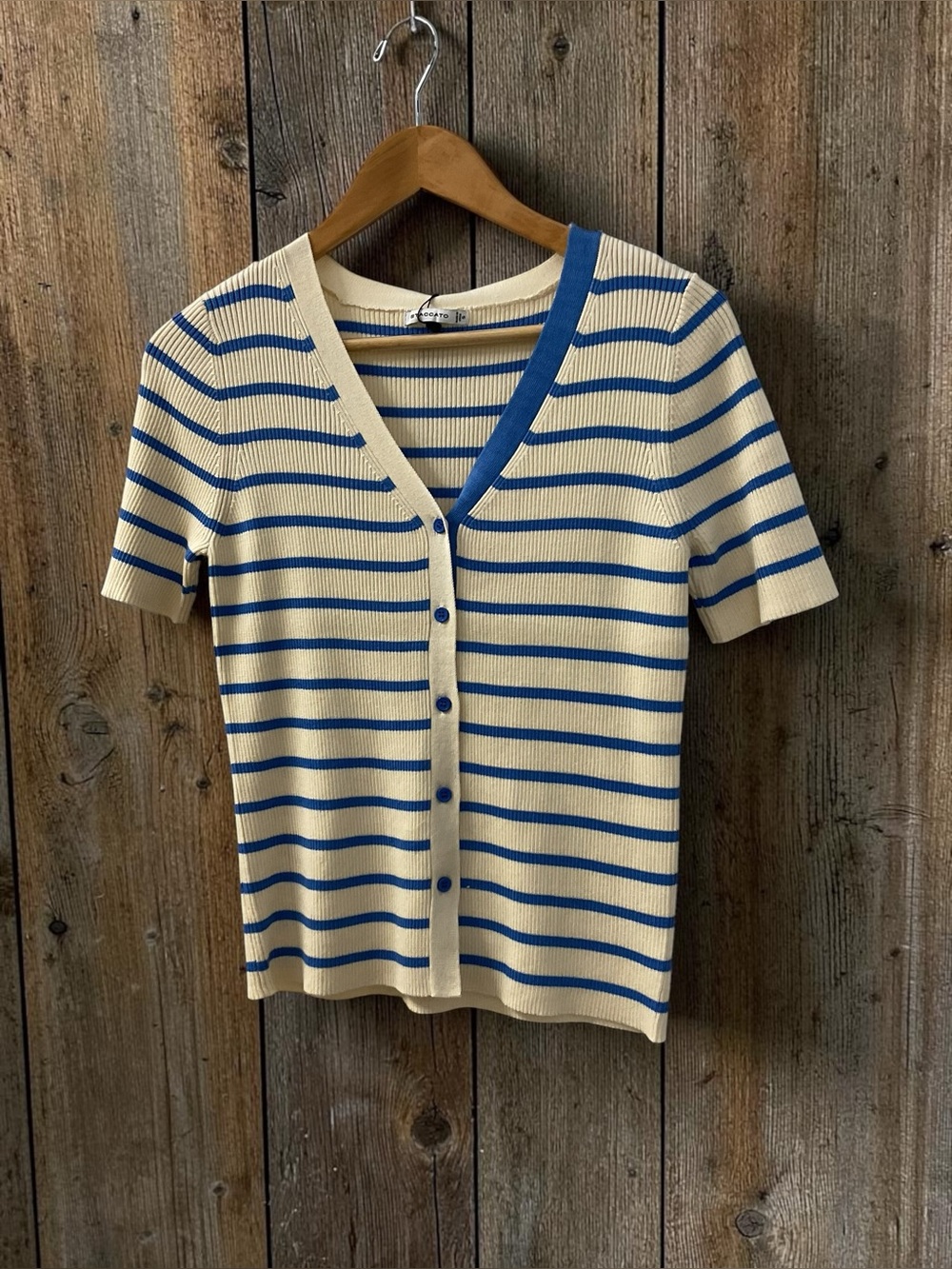 Cream & Blue Striped Short Sleeve Button Top